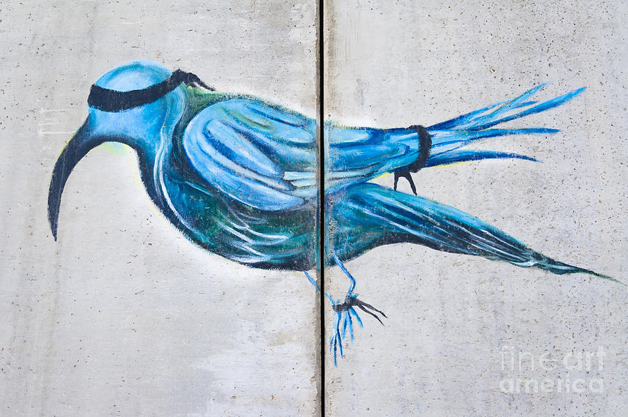 Detail Graffiti Palestine Nomer 39