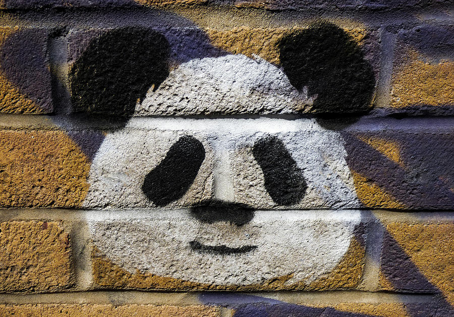 Detail Graffiti Panda Nomer 34