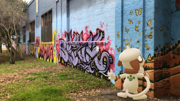 Detail Graffiti Pokemon Go Nomer 16