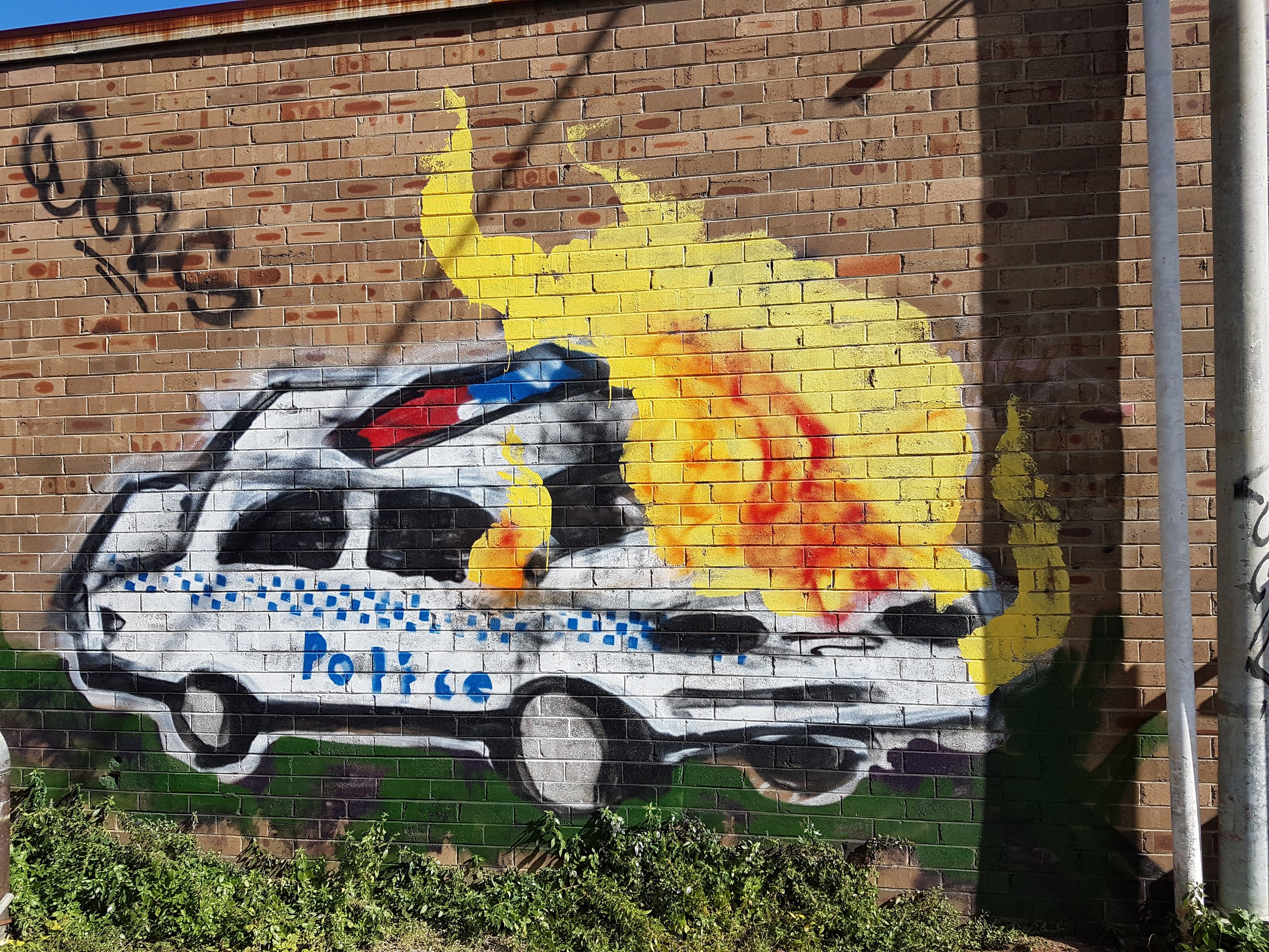 Detail Graffiti Police Car Nomer 32