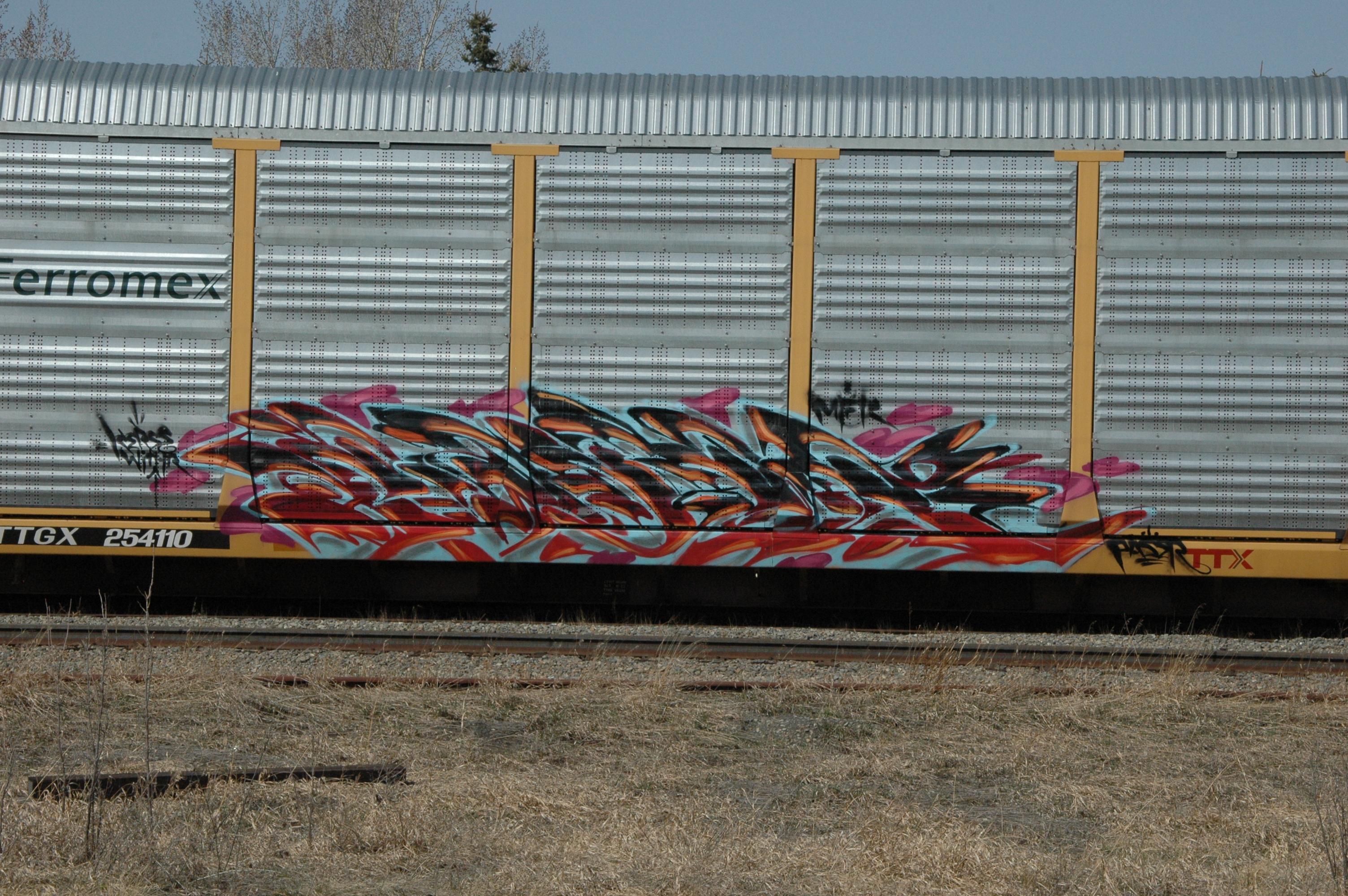 Detail Graffiti Railfans Nomer 42