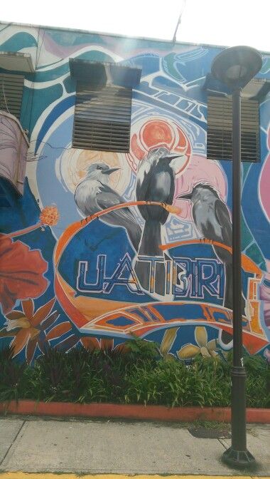 Detail Graffiti Rio Piedras Nomer 14