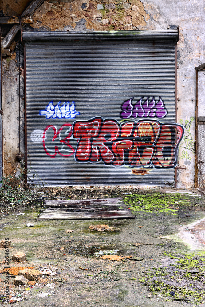 Detail Graffiti Rolling Door Nomer 15