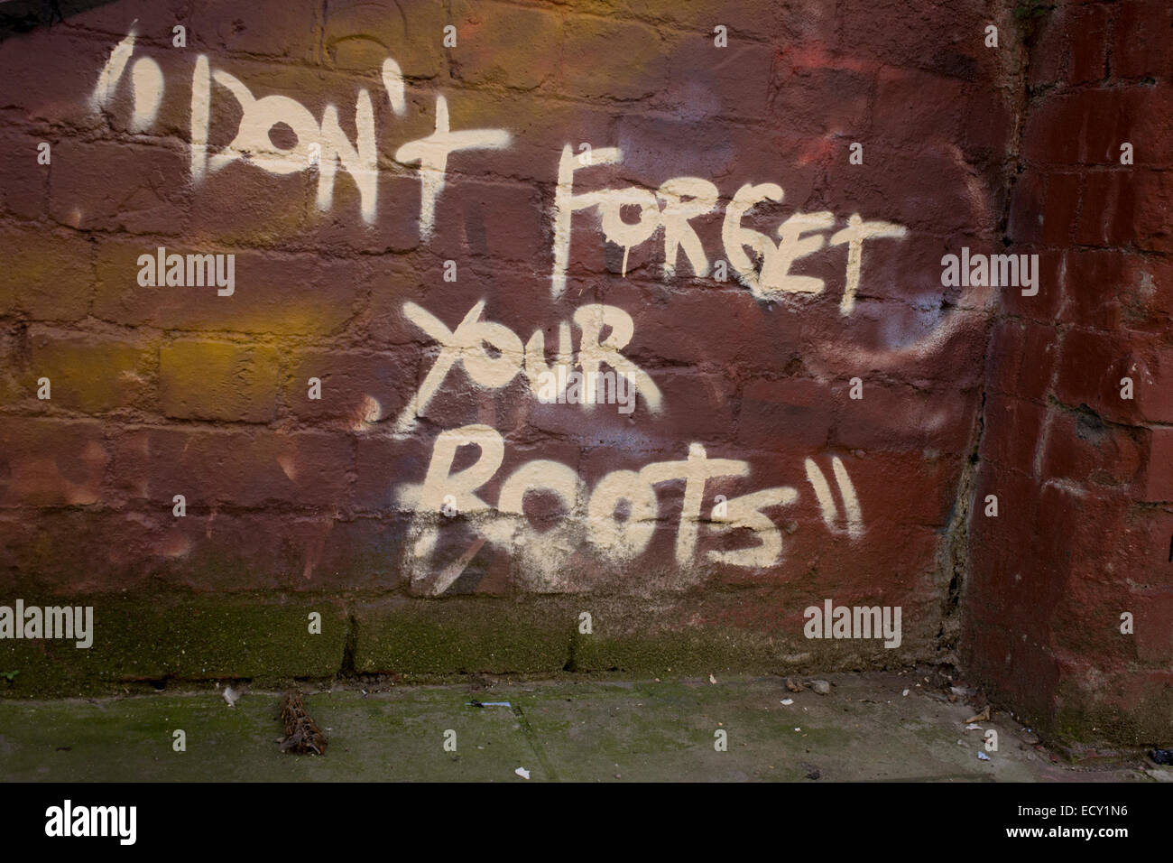 Detail Graffiti Roots Nomer 34
