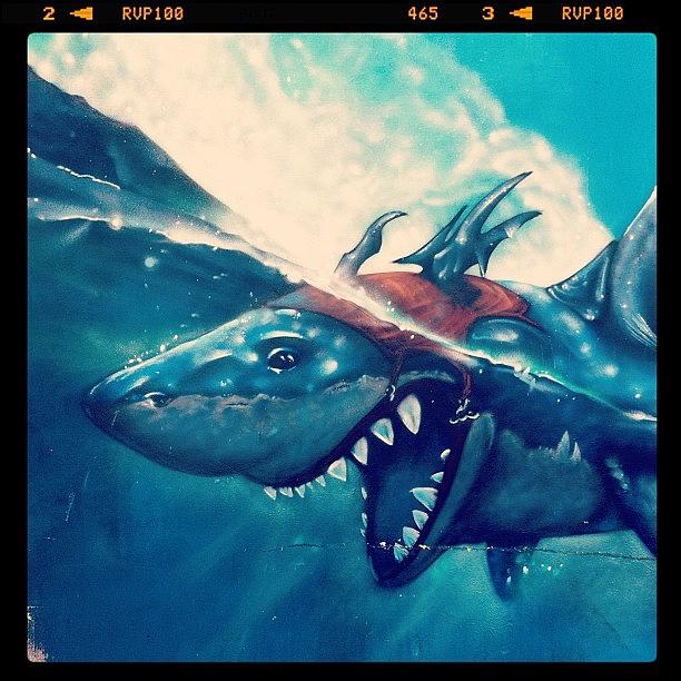 Detail Graffiti Shark Fish Nomer 16
