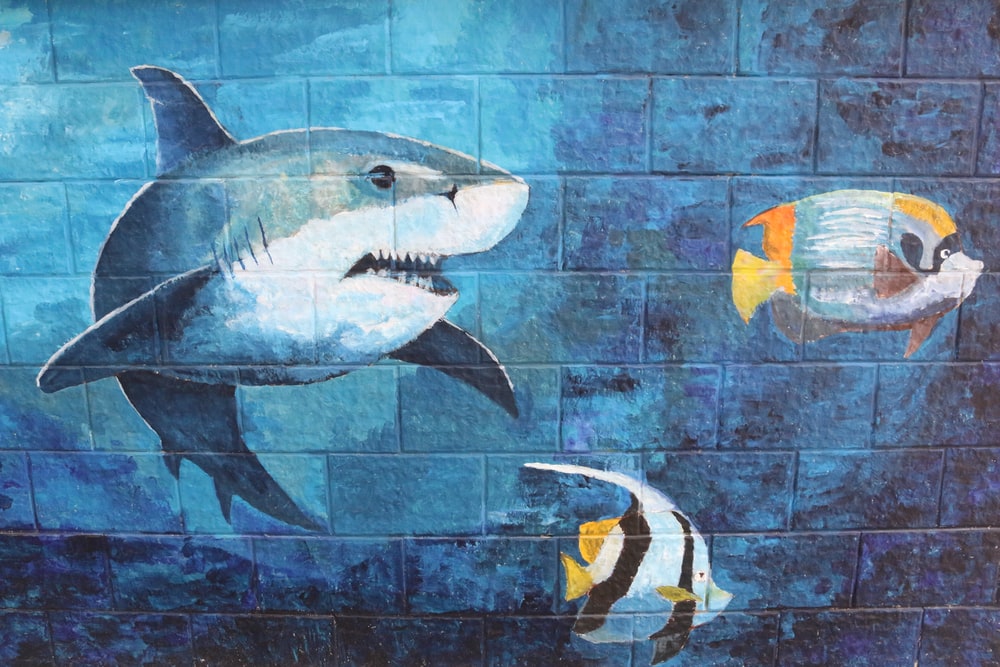 Detail Graffiti Shark Fish Nomer 3