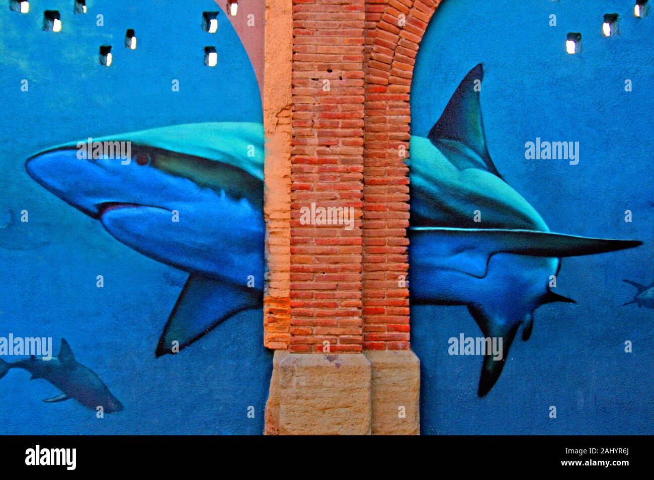 Detail Graffiti Shark Fish Nomer 21