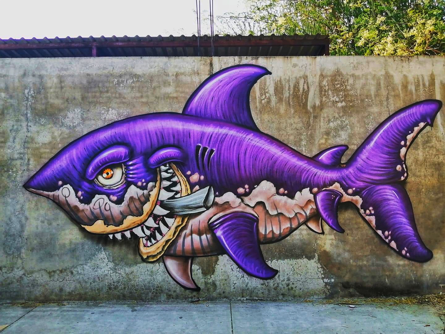 Detail Graffiti Shark Fish Nomer 22