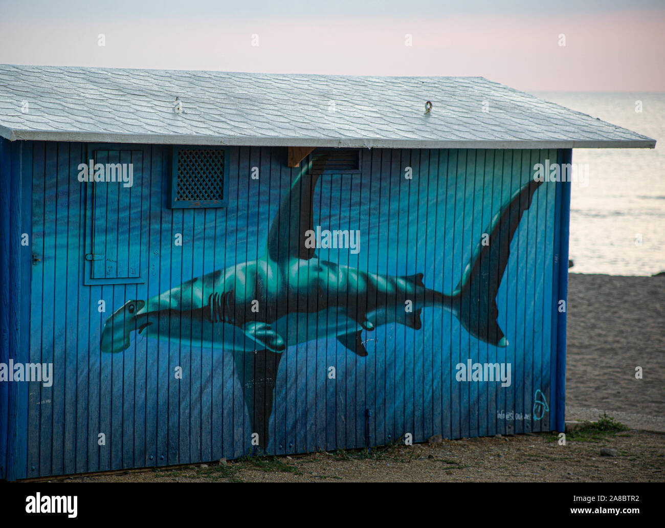 Detail Graffiti Shark Fish Nomer 34
