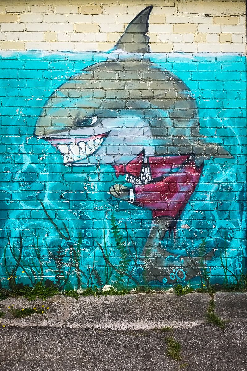 Download Graffiti Sharkfish Nomer 19