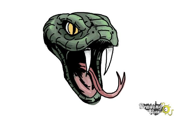 Detail Graffiti Snake Drawing Nomer 38