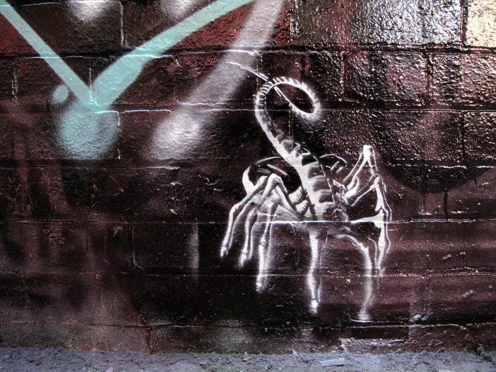 Detail Graffiti Sqorpion Nomer 22