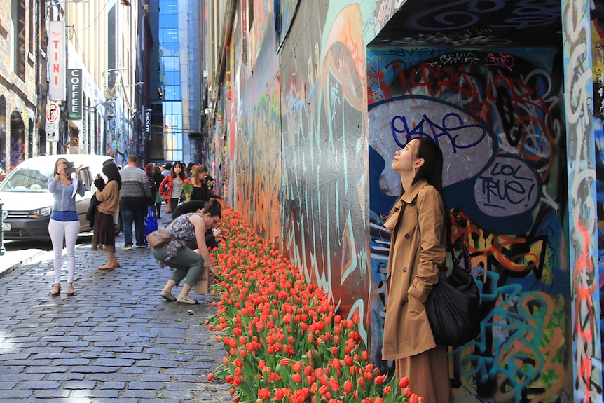 Detail Graffiti Street Melbourne Hosier Lane Nomer 34