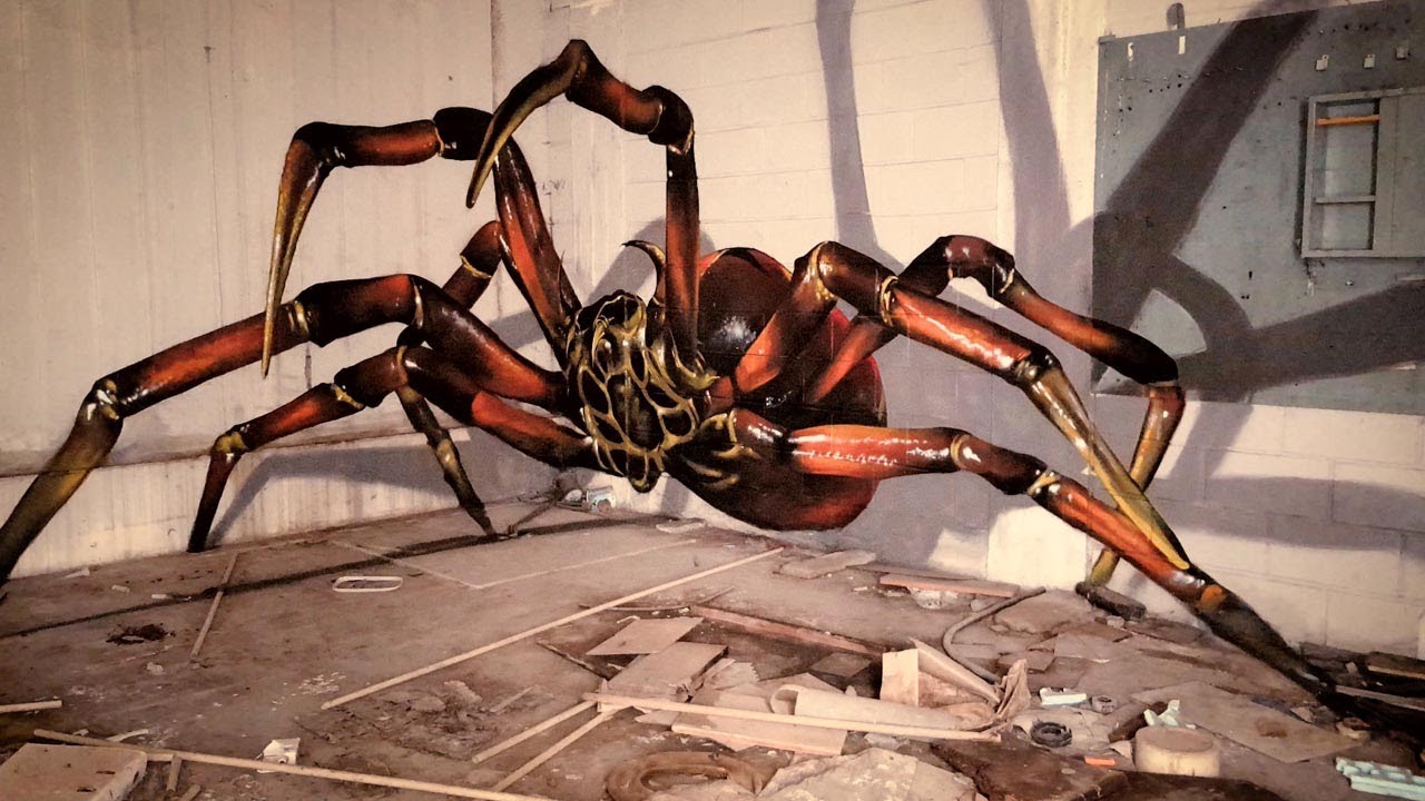 Graffiti Tarantula - KibrisPDR