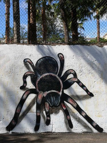 Detail Graffiti Tarantula Nomer 2