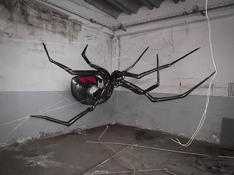Detail Graffiti Tarantula Nomer 15