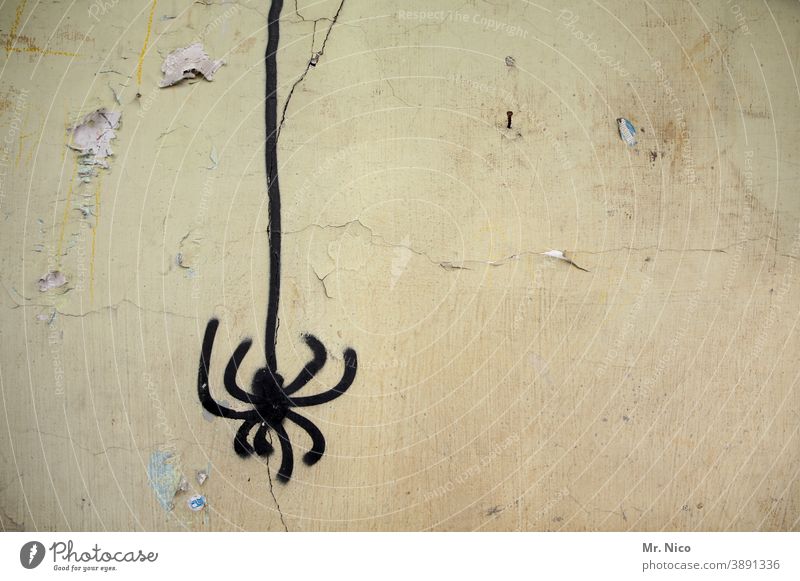 Detail Graffiti Tarantula Nomer 3