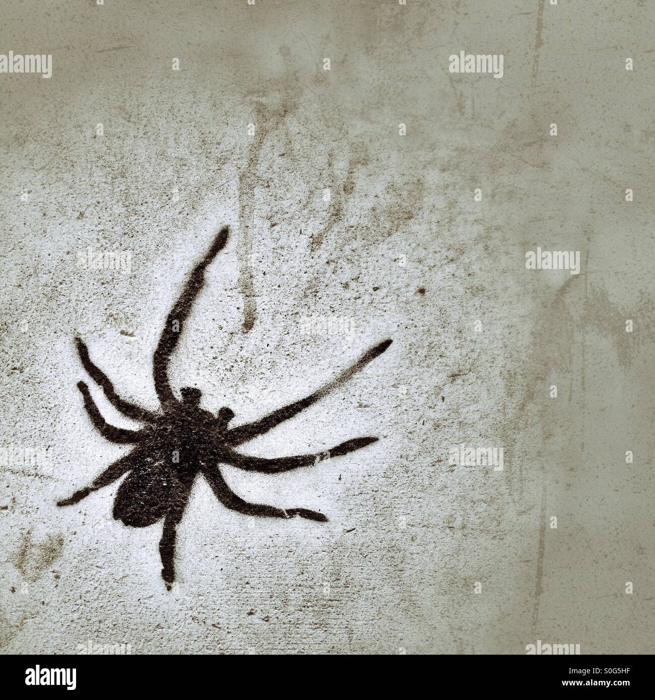 Detail Graffiti Tarantula Nomer 19
