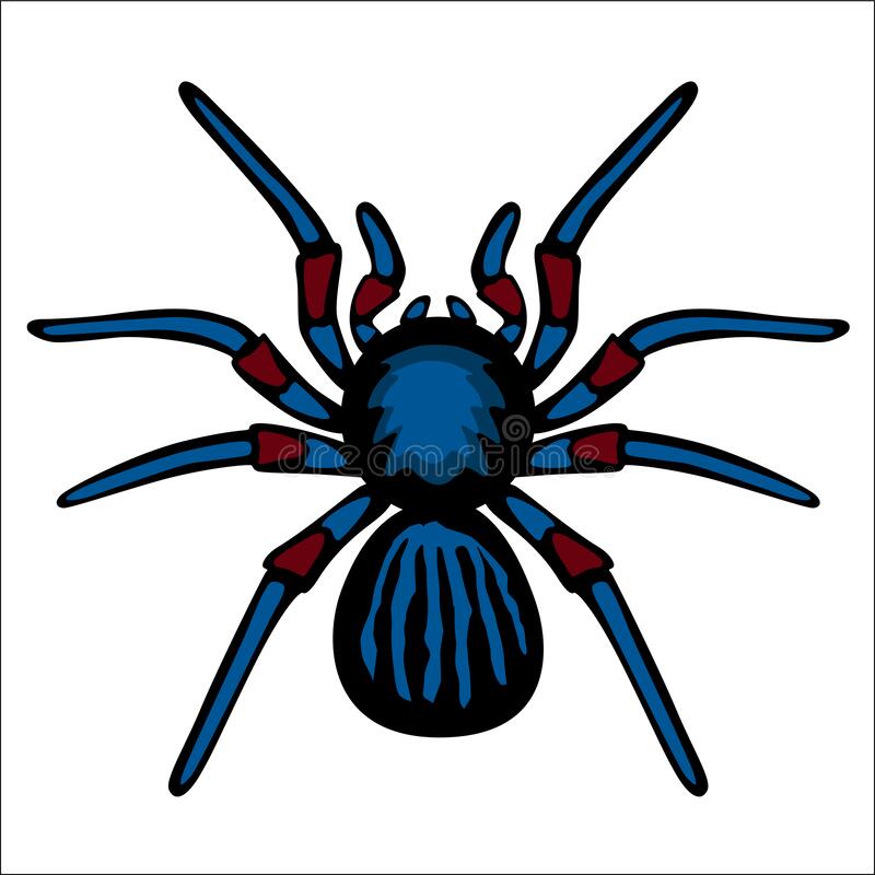 Detail Graffiti Tarantula Nomer 34