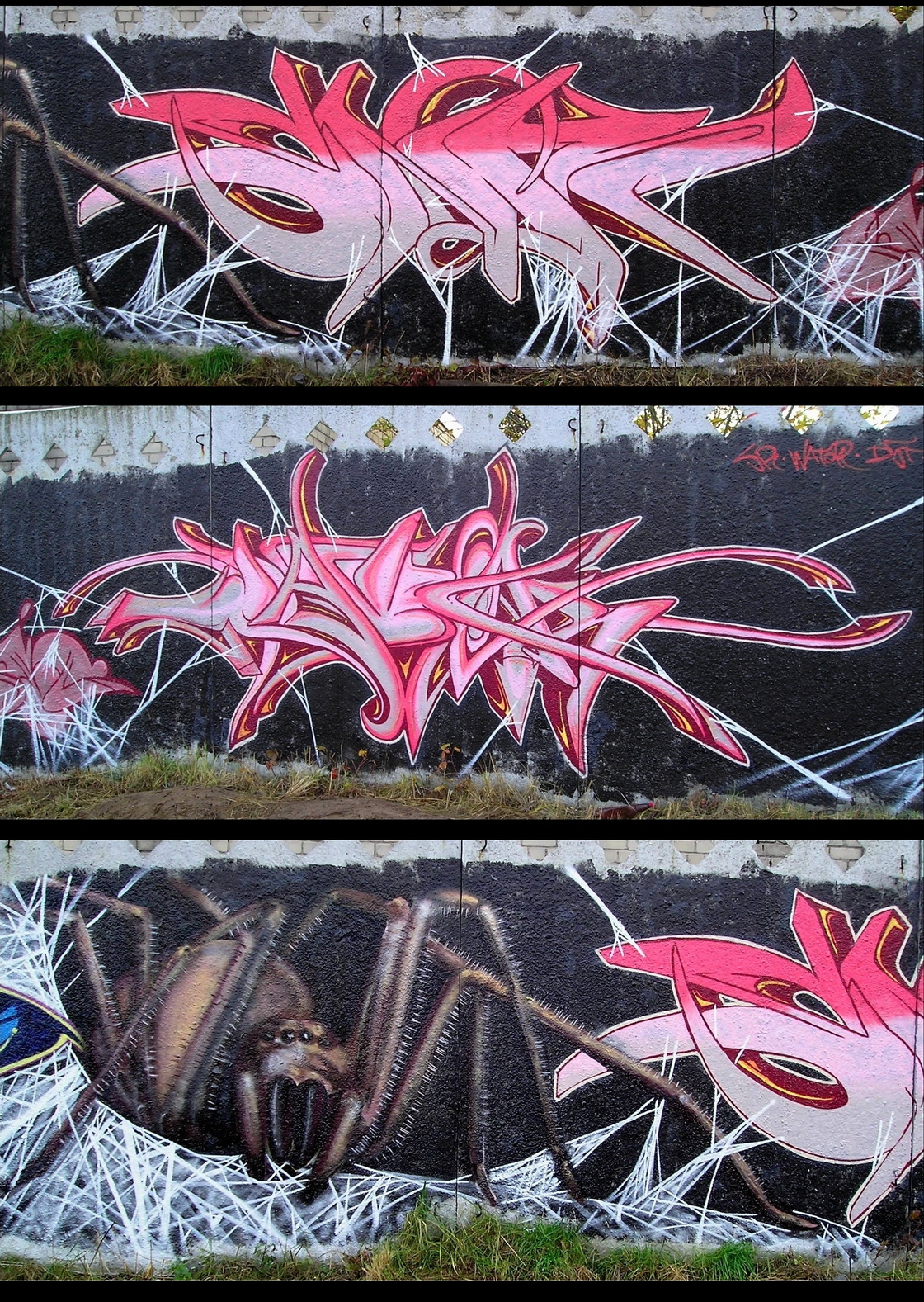 Detail Graffiti Tarantula Nomer 45