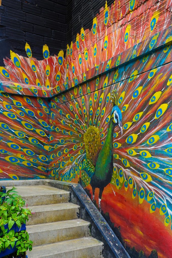 Detail Graffiti Tour Medellin Nomer 9