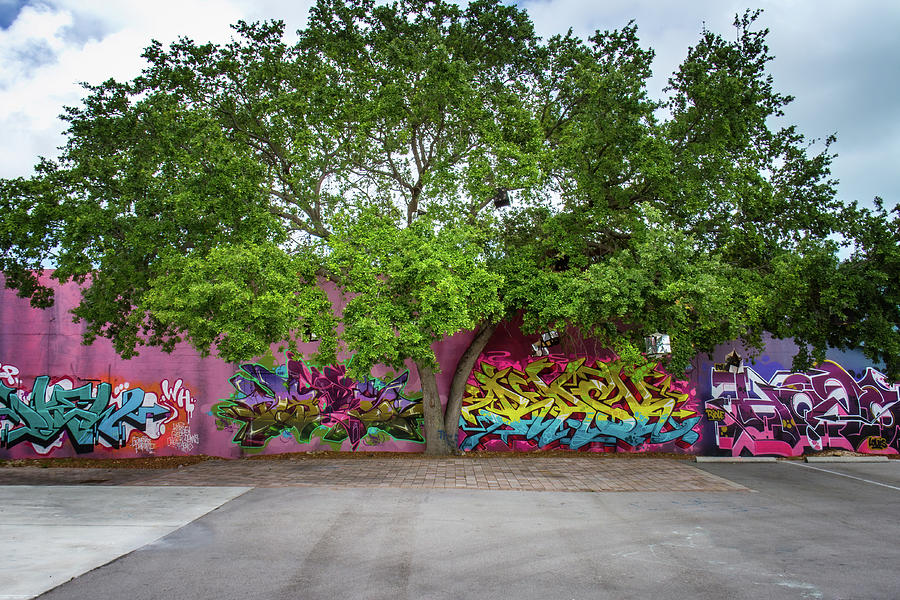 Detail Graffiti Tree Nomer 5