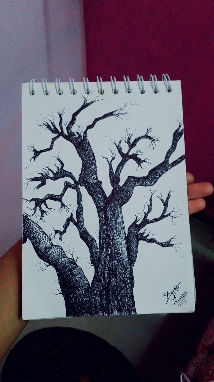 Graffiti Tree Drawing - KibrisPDR