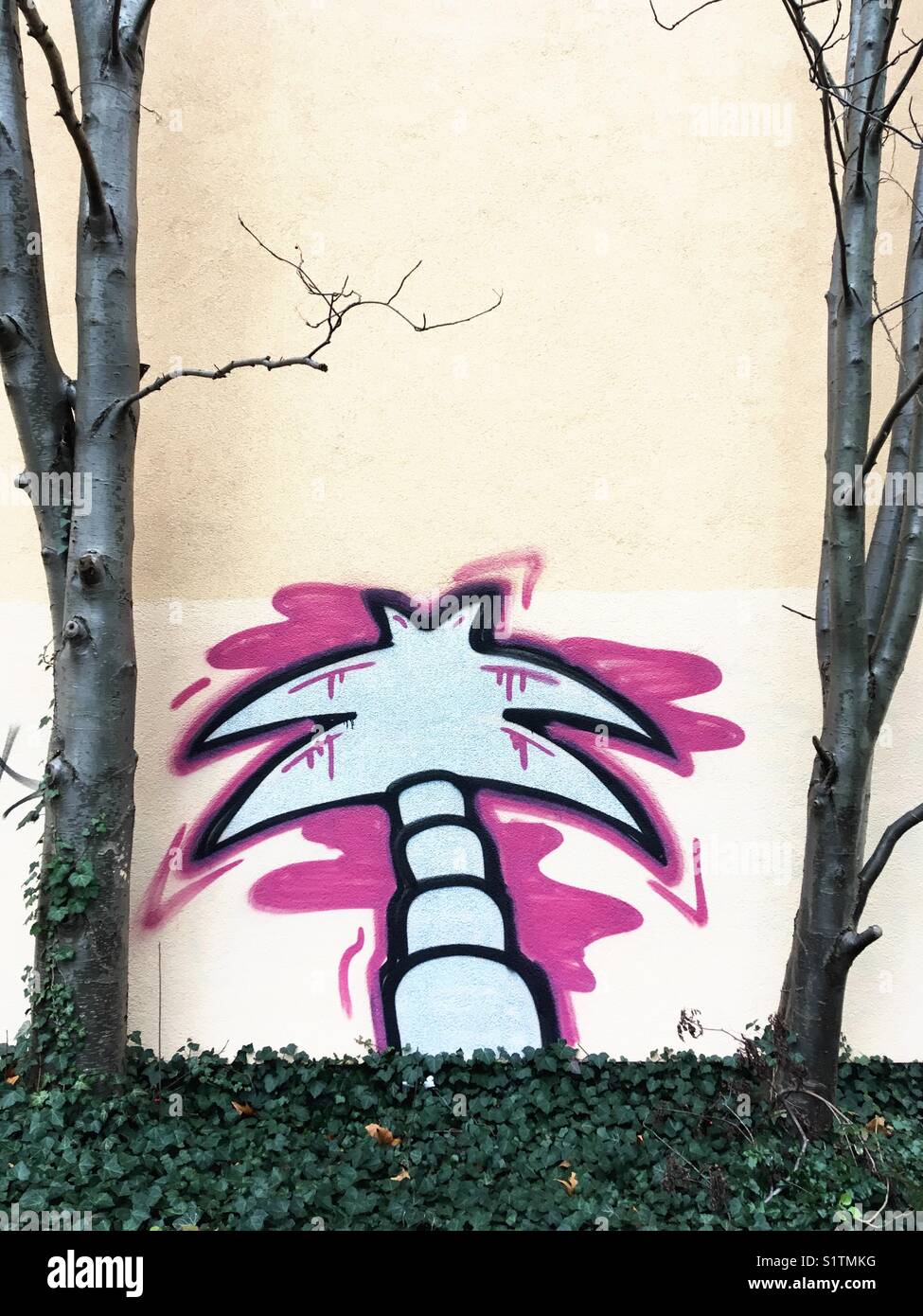 Detail Graffiti Tree Drawing Nomer 11
