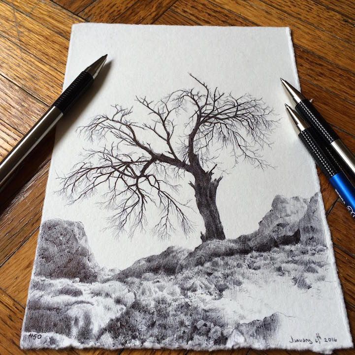 Detail Graffiti Tree Drawing Nomer 14