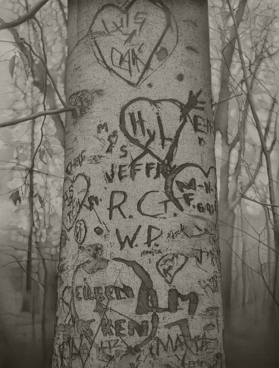 Detail Graffiti Tree Drawing Nomer 26