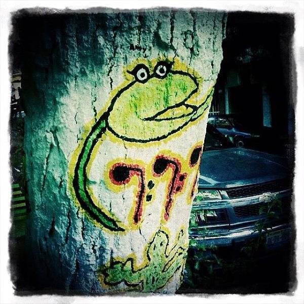 Detail Graffiti Tree Drawing Nomer 42