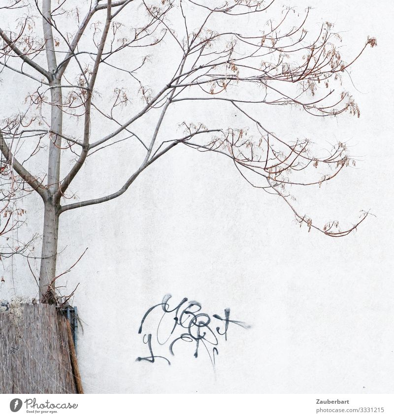 Detail Graffiti Tree Drawing Nomer 8
