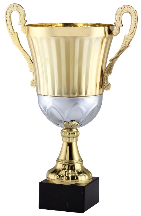 Detail Gold Cup Awards Nomer 13