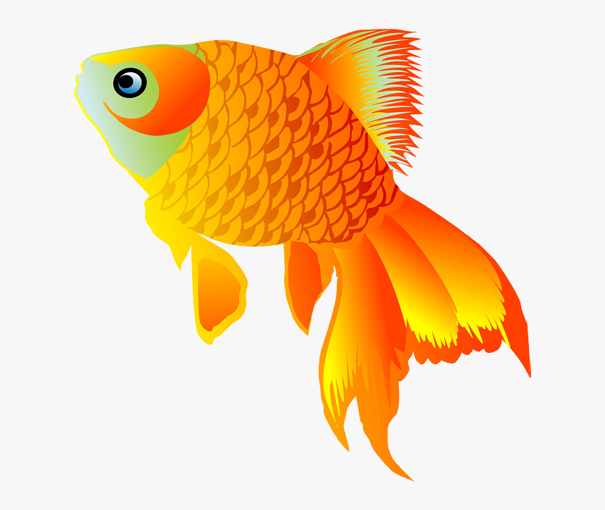 Detail Gold Fish Png Nomer 32