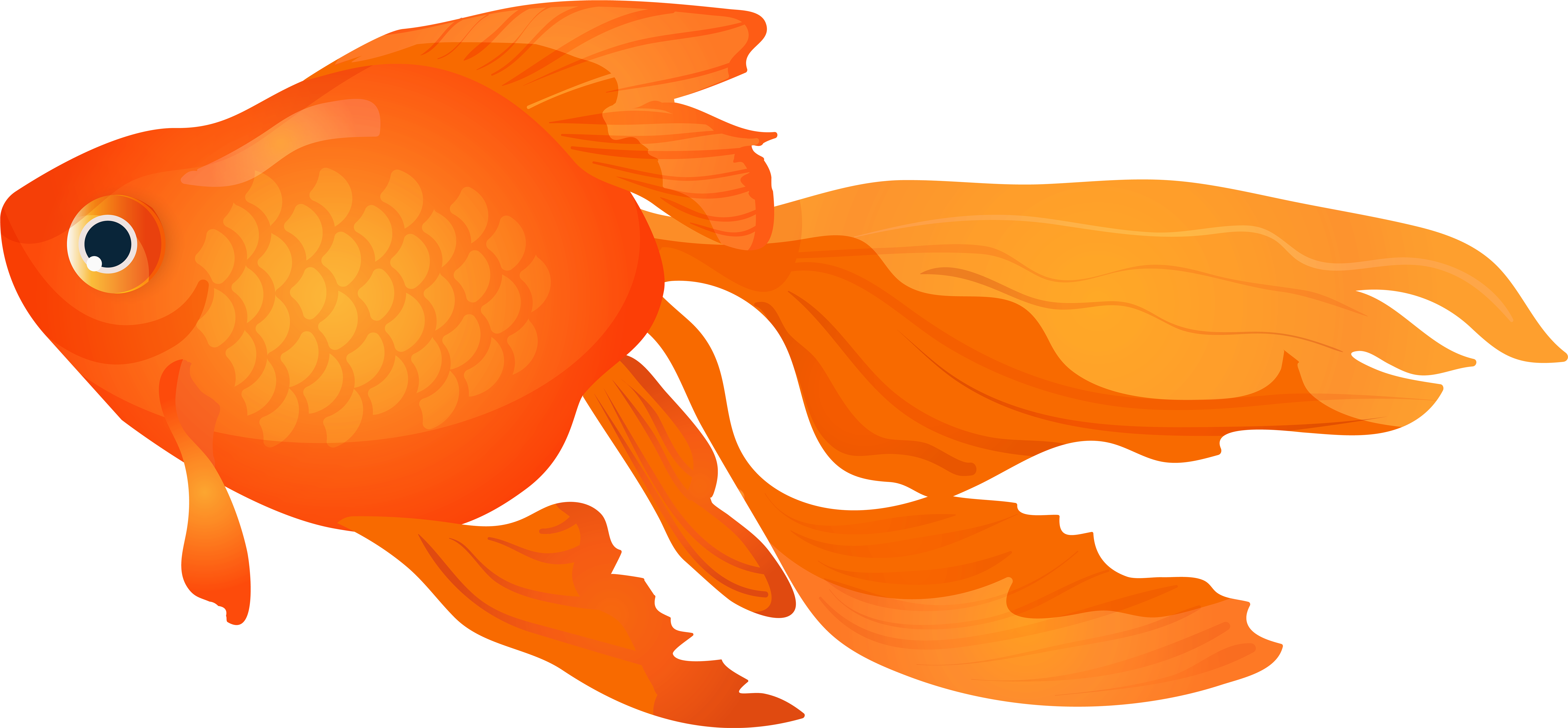 Detail Gold Fish Png Nomer 36