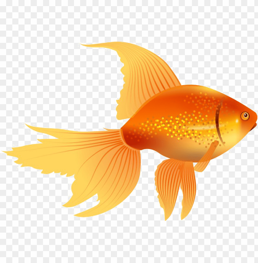 Detail Gold Fish Png Nomer 38