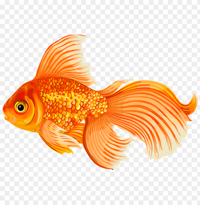 Detail Gold Fish Png Nomer 9