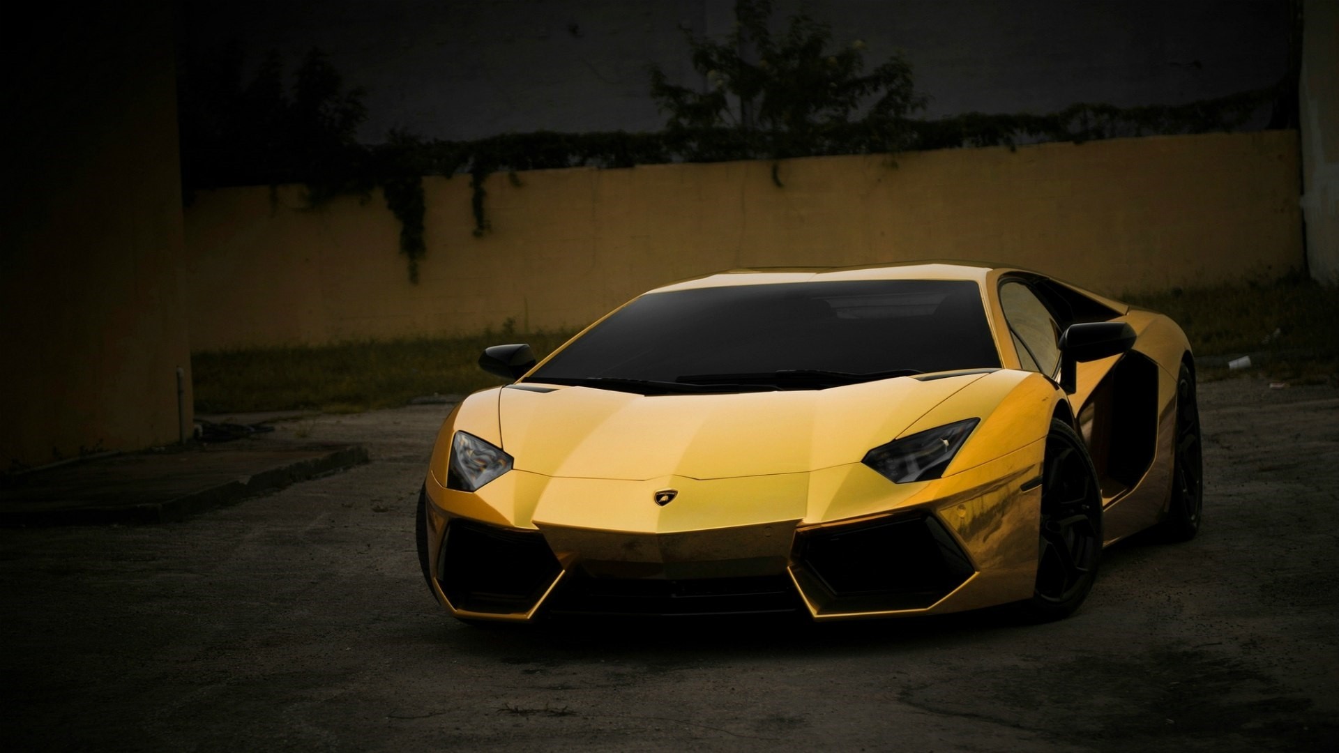 Detail Gold Lamborghini Backgrounds Nomer 9