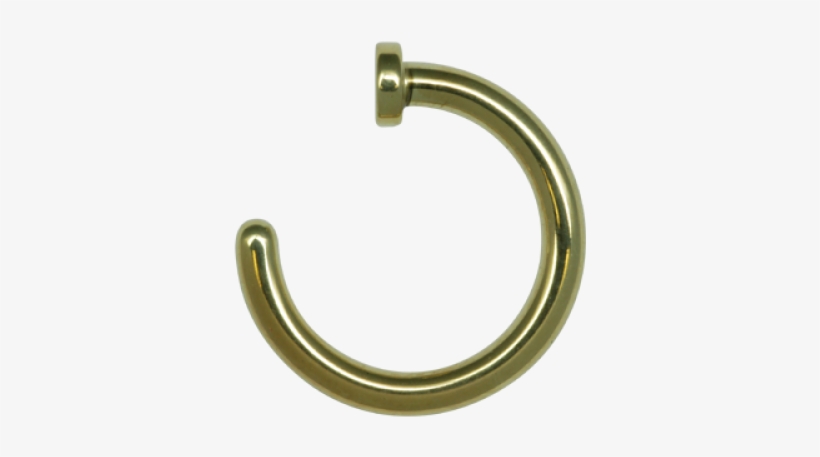 Detail Gold Nose Ring Png Nomer 25