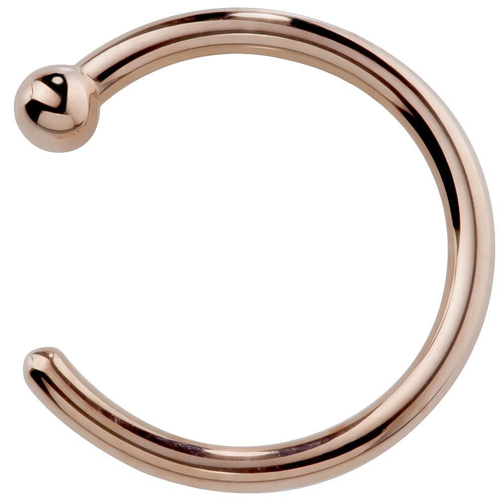 Detail Gold Nose Ring Png Nomer 56