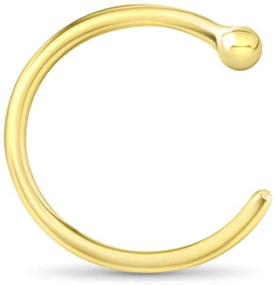 Detail Gold Nose Ring Png Nomer 57