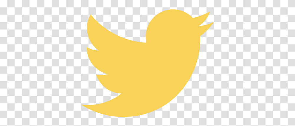 Detail Gold Twitter Logo Png Nomer 47