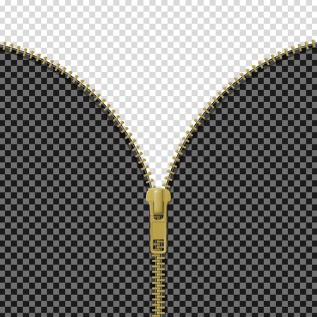 Detail Gold Zipper Png Nomer 25