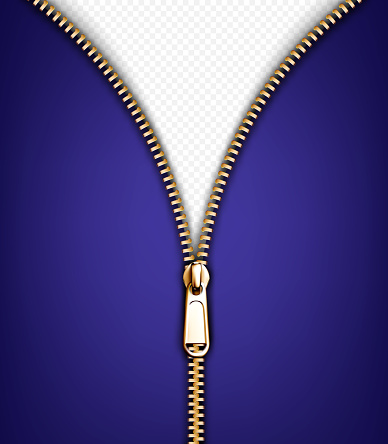 Detail Gold Zipper Png Nomer 51
