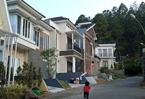 Detail Golden Pinus Batu Nomer 54