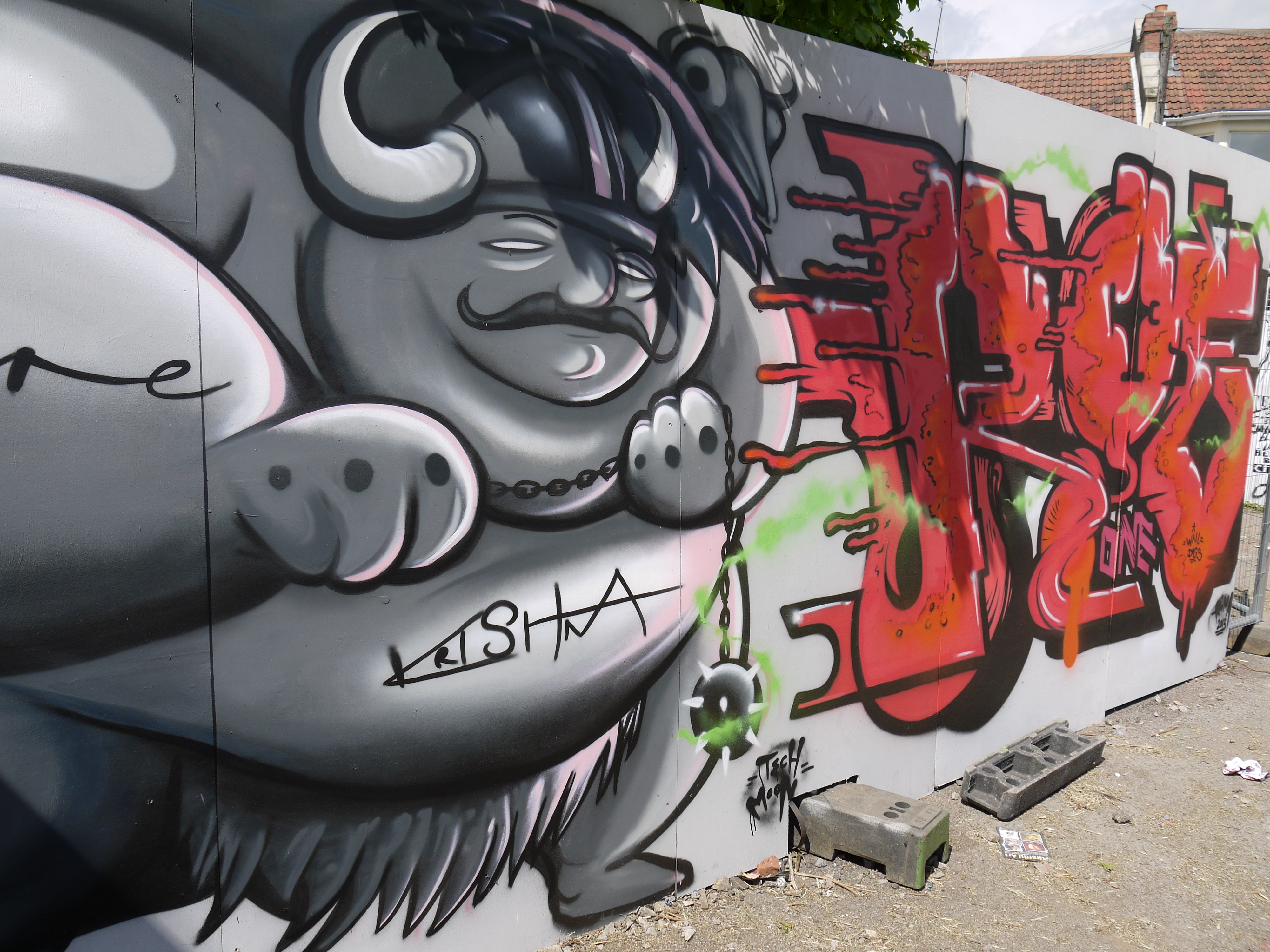 Detail Graffiti Viking Nomer 22