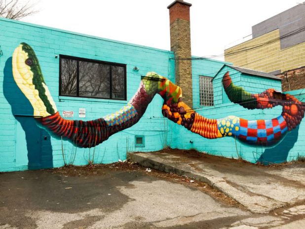 Detail Graffiti Wall Snake Nomer 12