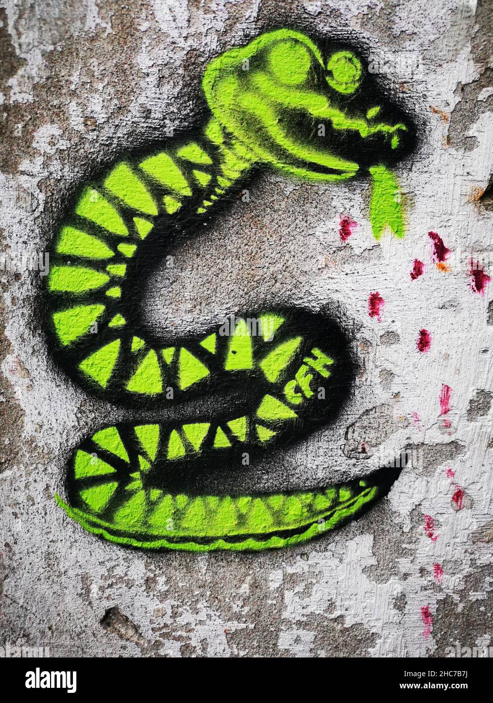 Detail Graffiti Wall Snake Nomer 21