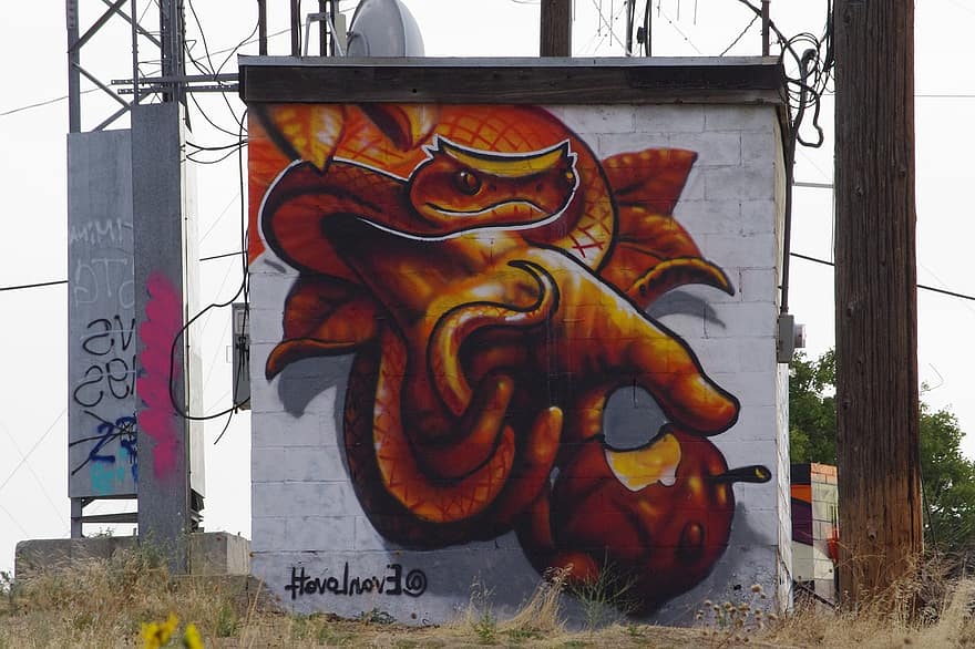 Detail Graffiti Wall Snake Nomer 29
