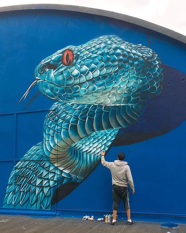 Detail Graffiti Wall Snake Nomer 5